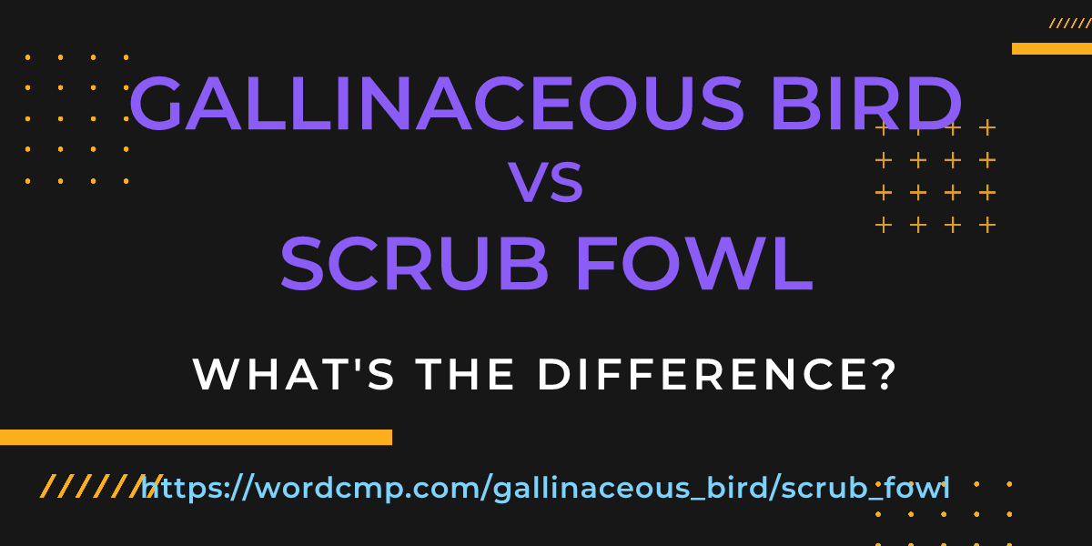 Difference between gallinaceous bird and scrub fowl