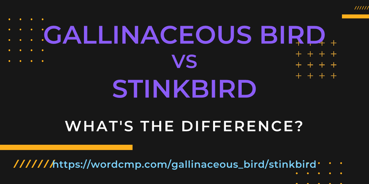 Difference between gallinaceous bird and stinkbird