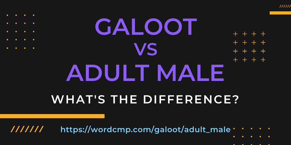 Difference between galoot and adult male