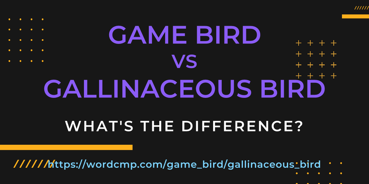 Difference between game bird and gallinaceous bird