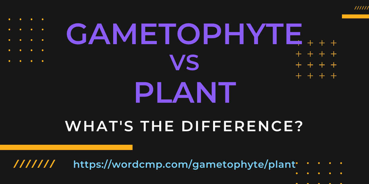Difference between gametophyte and plant