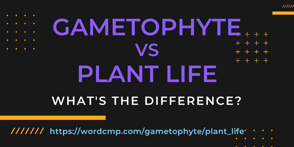Difference between gametophyte and plant life
