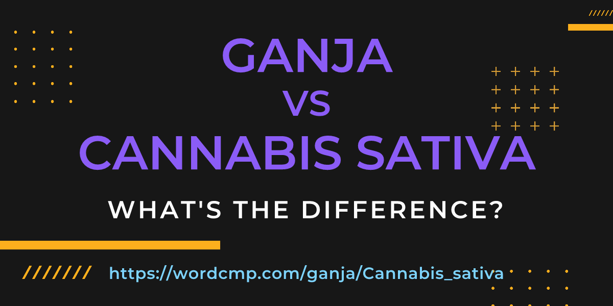 Difference between ganja and Cannabis sativa