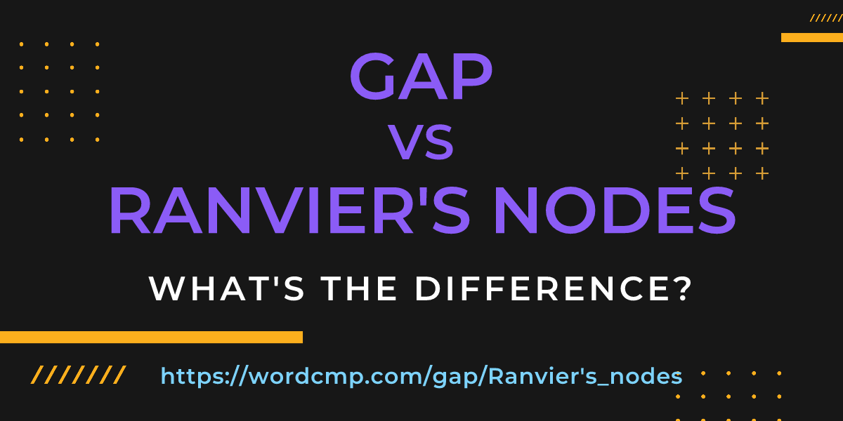 Difference between gap and Ranvier's nodes