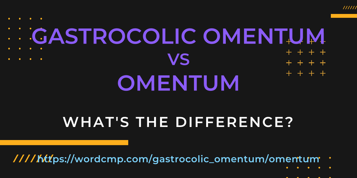 Difference between gastrocolic omentum and omentum