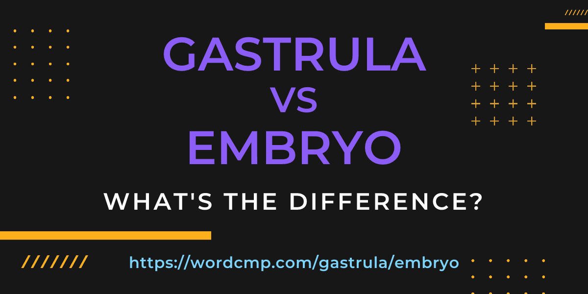 Difference between gastrula and embryo