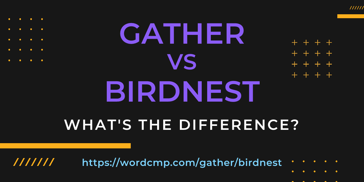 Difference between gather and birdnest