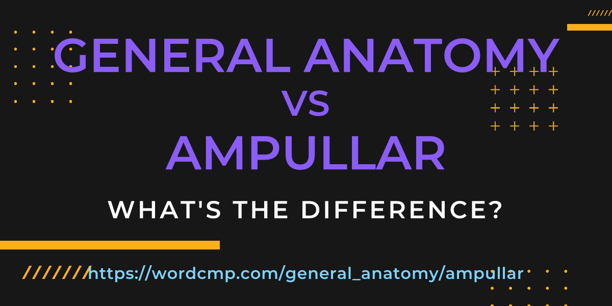 Difference between general anatomy and ampullar