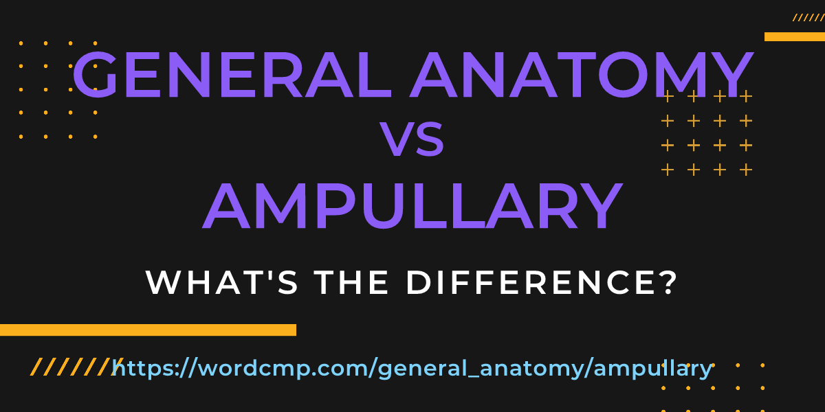 Difference between general anatomy and ampullary