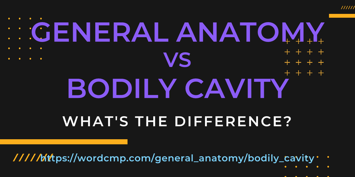 Difference between general anatomy and bodily cavity