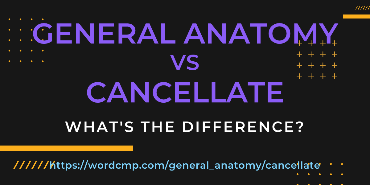 Difference between general anatomy and cancellate