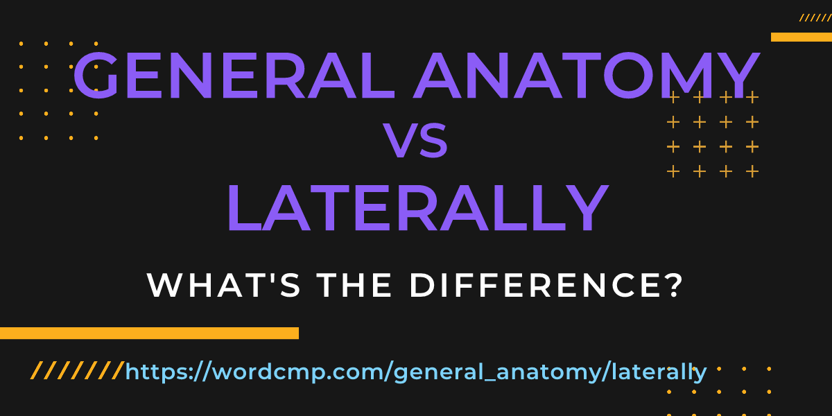Difference between general anatomy and laterally