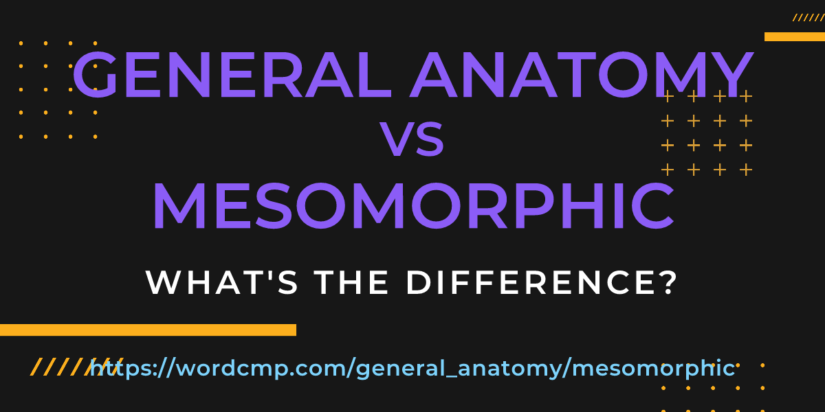 Difference between general anatomy and mesomorphic