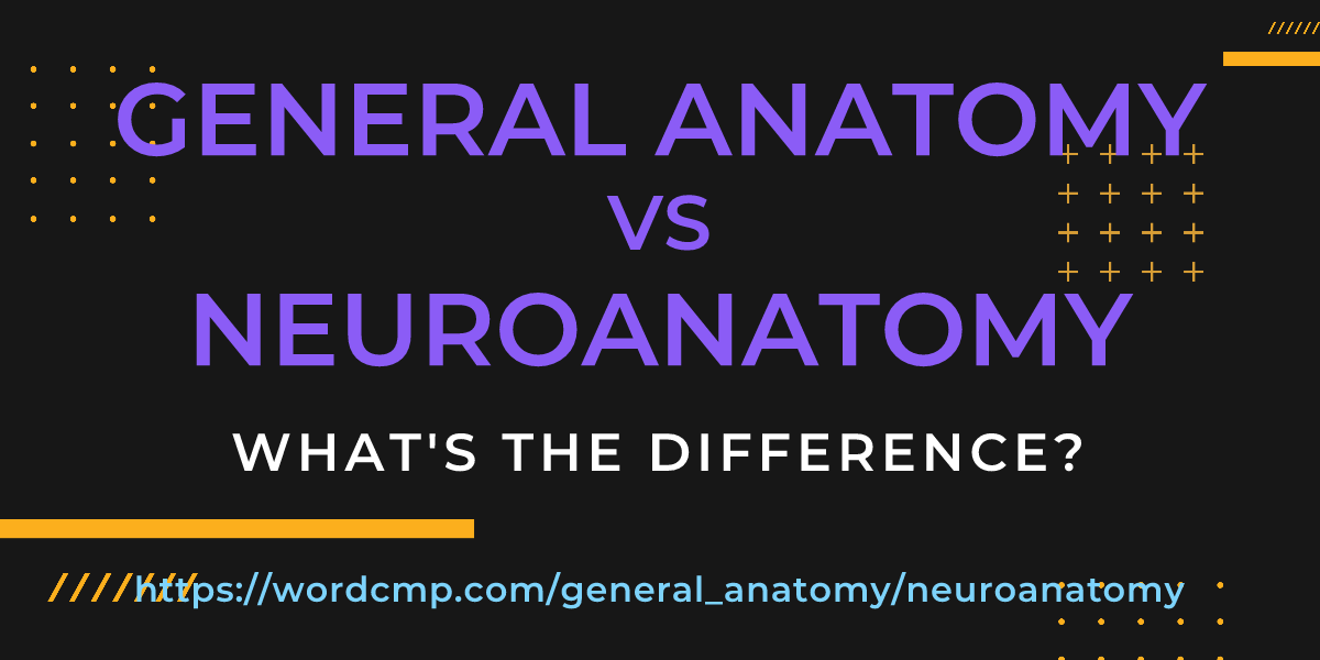 Difference between general anatomy and neuroanatomy