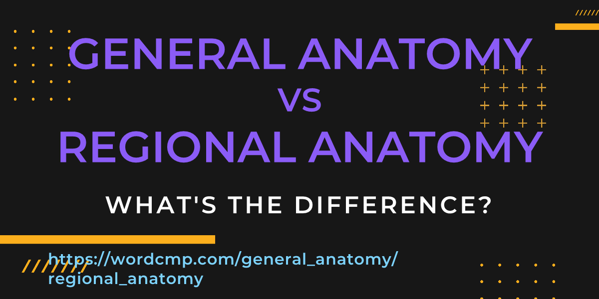 Difference between general anatomy and regional anatomy