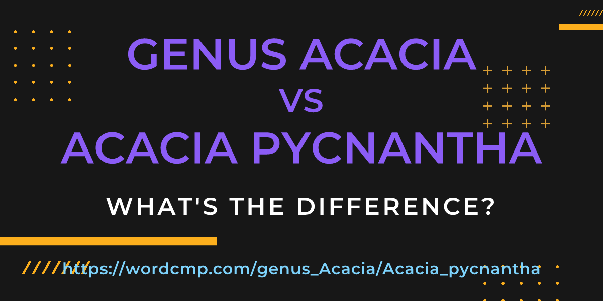 Difference between genus Acacia and Acacia pycnantha