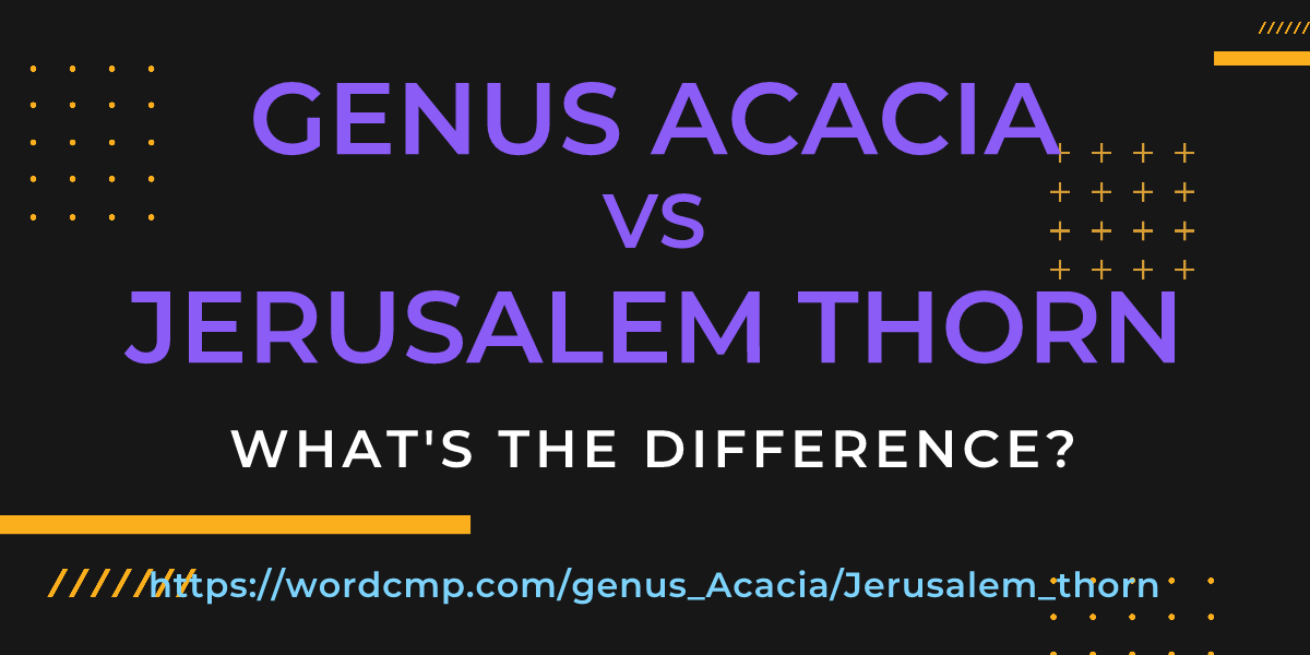 Difference between genus Acacia and Jerusalem thorn