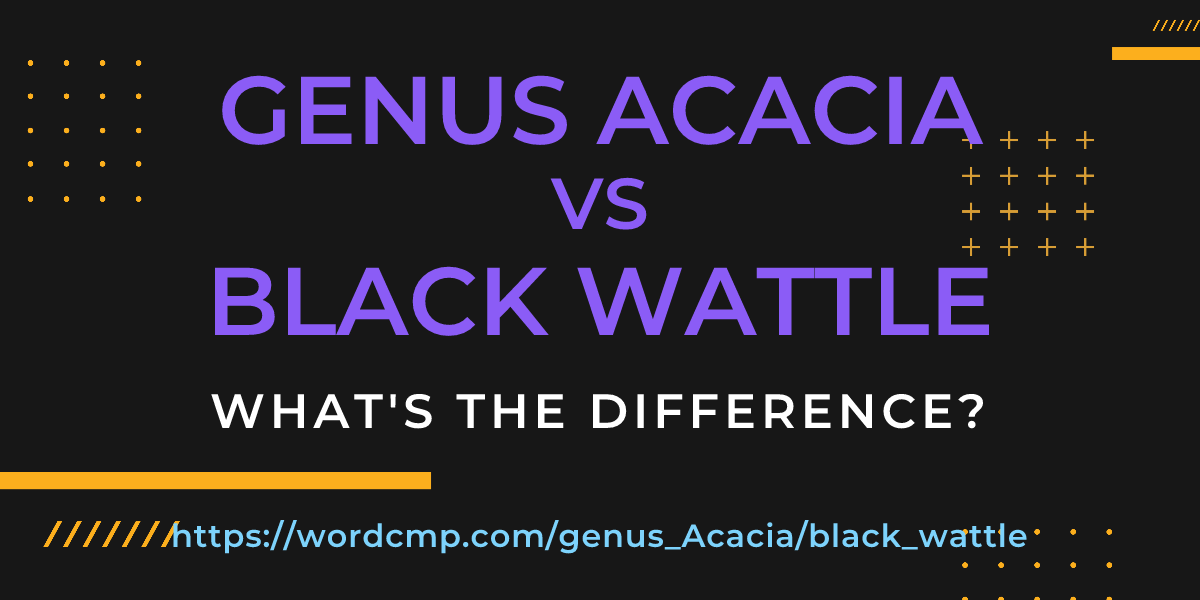 Difference between genus Acacia and black wattle
