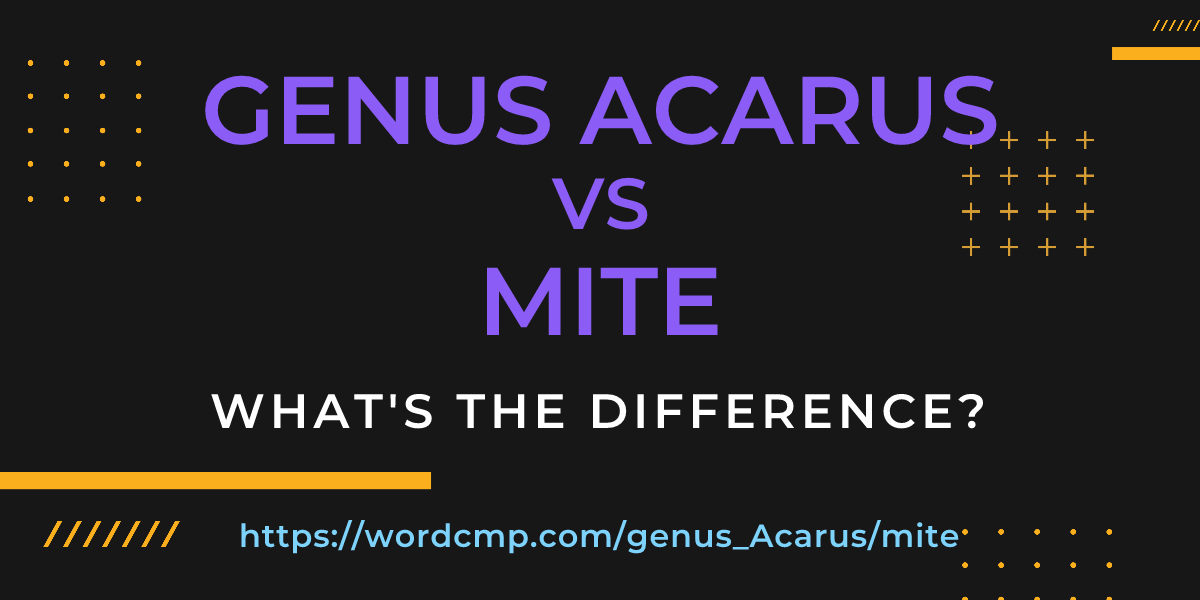 Difference between genus Acarus and mite