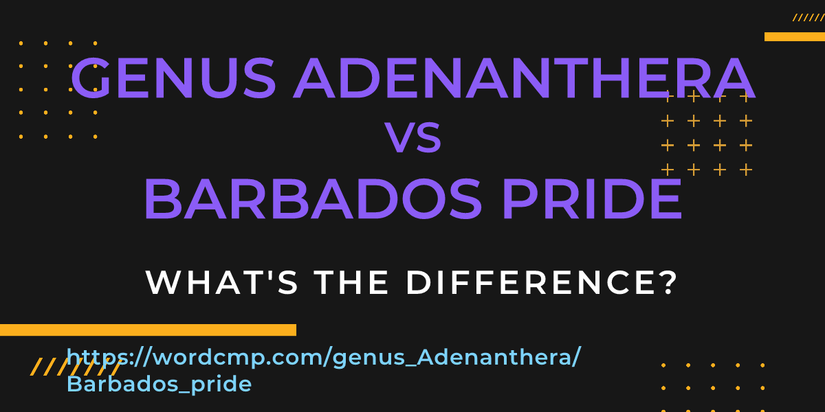 Difference between genus Adenanthera and Barbados pride