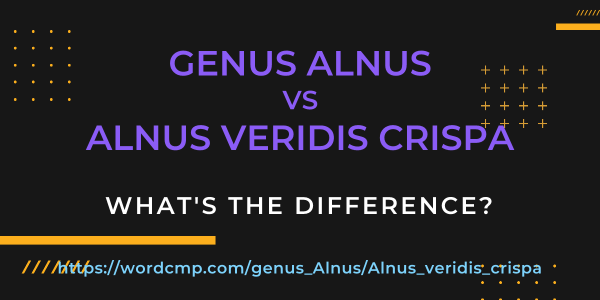 Difference between genus Alnus and Alnus veridis crispa