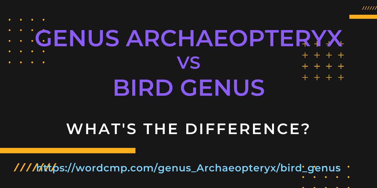 Difference between genus Archaeopteryx and bird genus