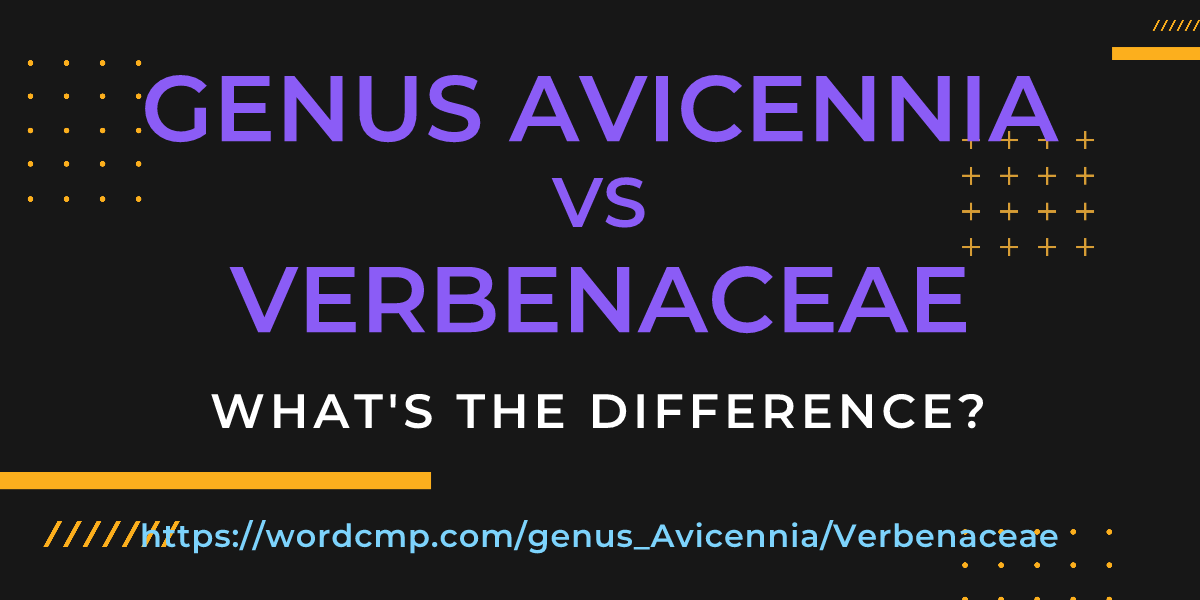 Difference between genus Avicennia and Verbenaceae