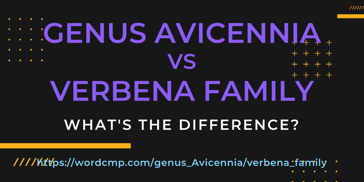 Difference between genus Avicennia and verbena family