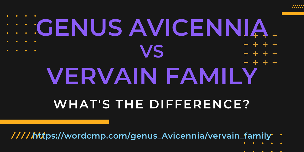 Difference between genus Avicennia and vervain family