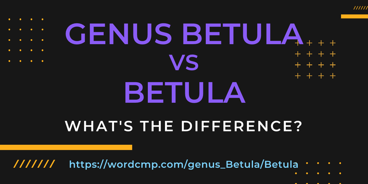 Difference between genus Betula and Betula