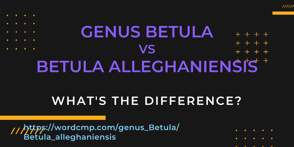 Difference between genus Betula and Betula alleghaniensis