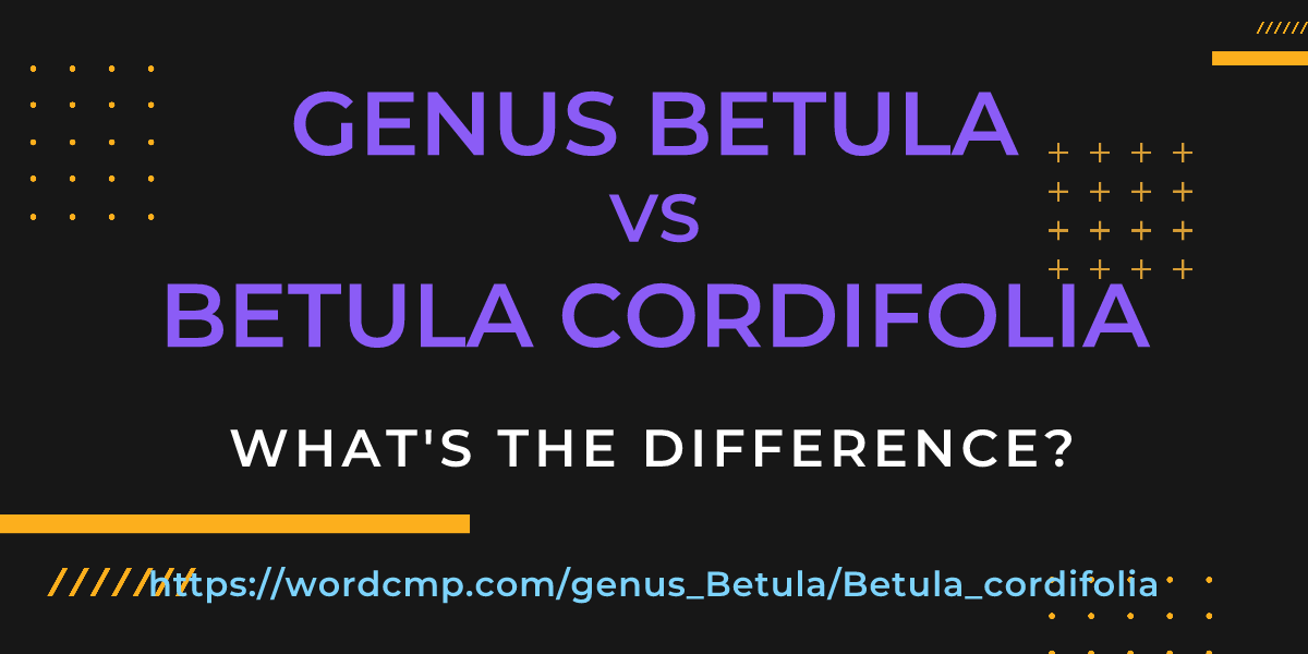 Difference between genus Betula and Betula cordifolia