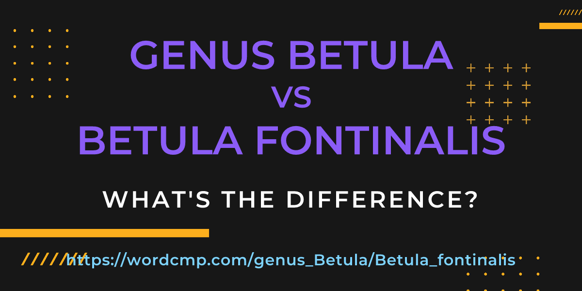 Difference between genus Betula and Betula fontinalis