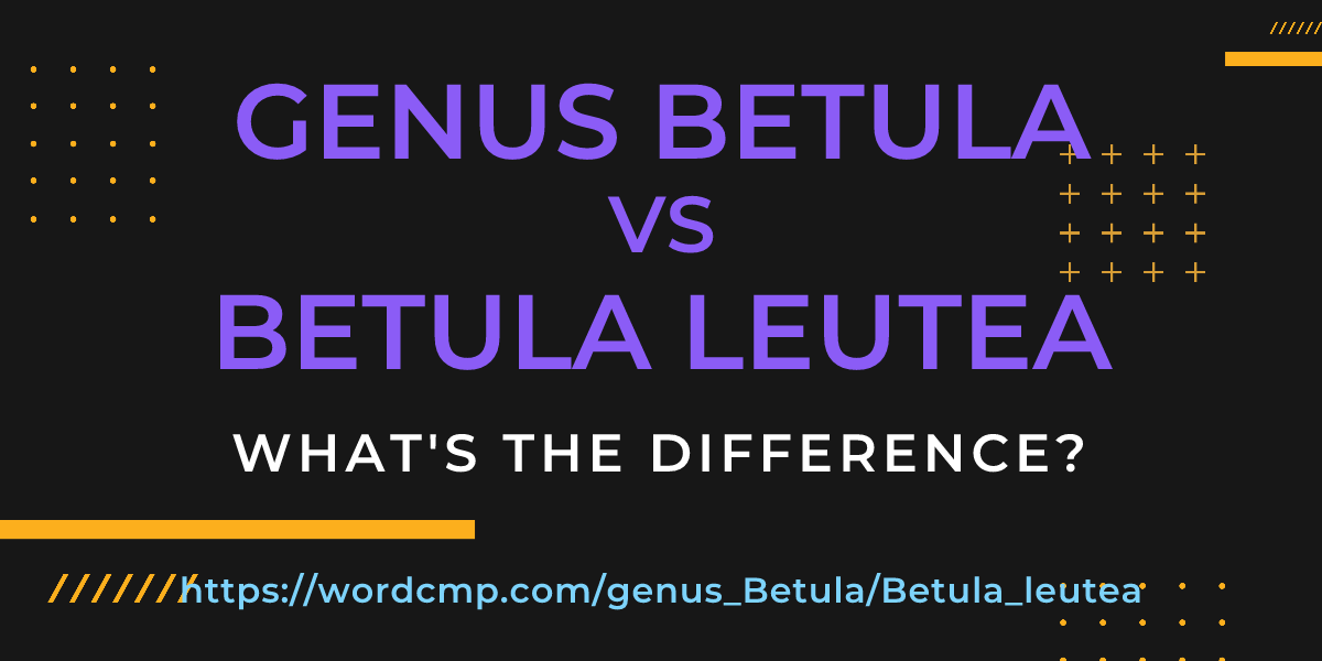 Difference between genus Betula and Betula leutea