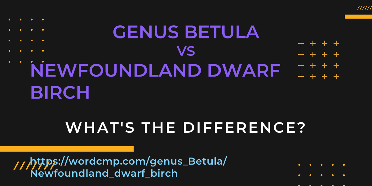 Difference between genus Betula and Newfoundland dwarf birch