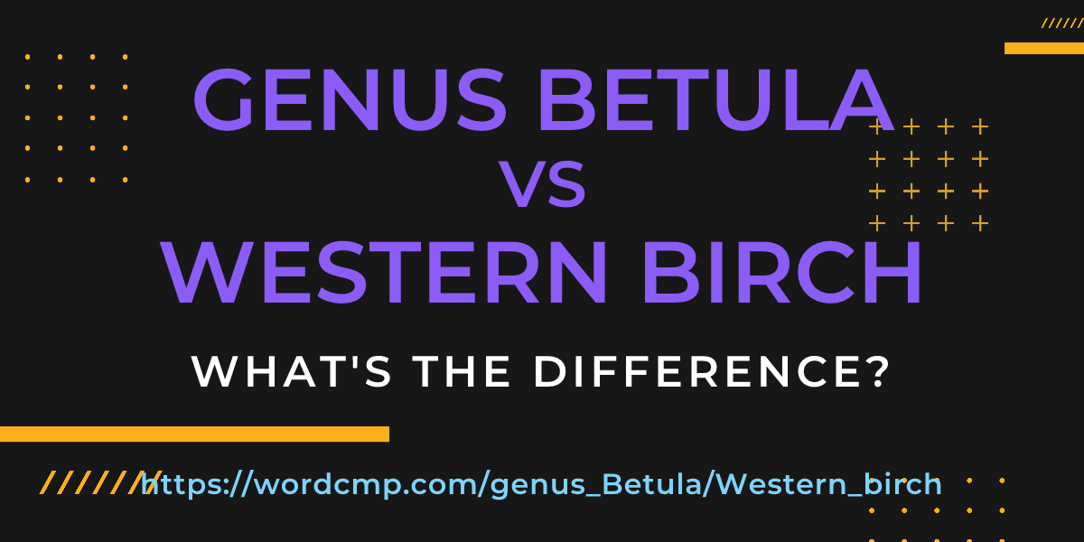 Difference between genus Betula and Western birch