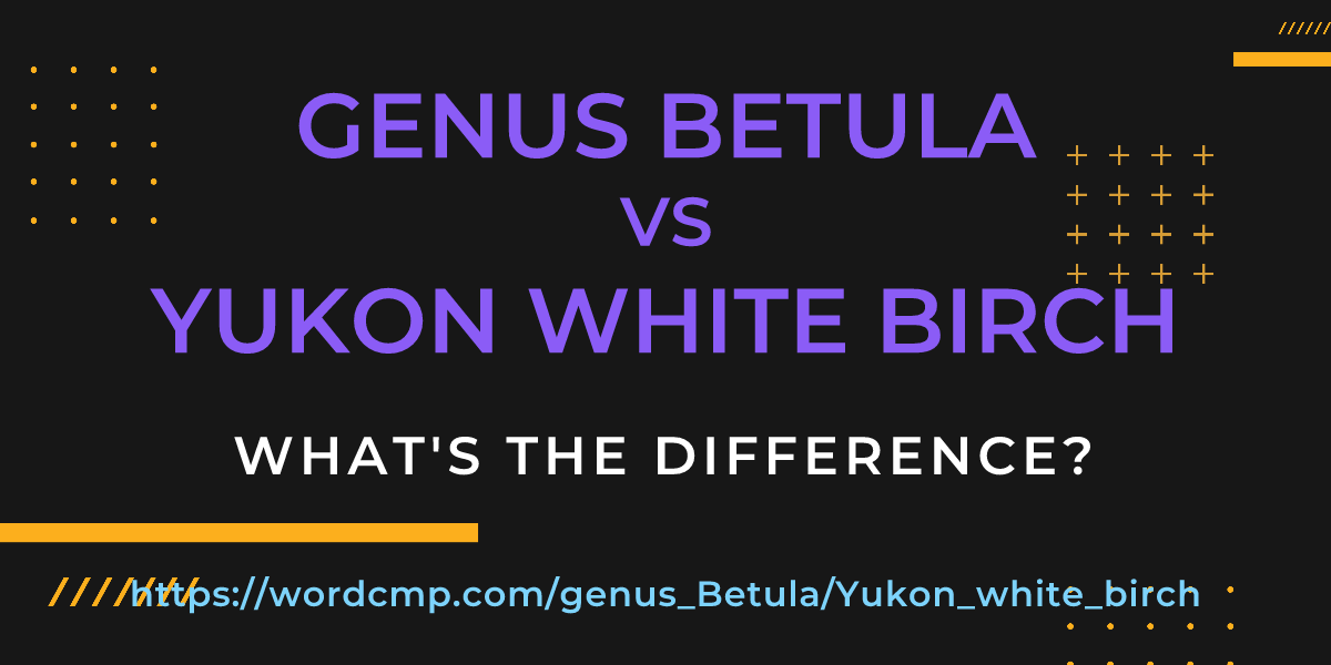 Difference between genus Betula and Yukon white birch