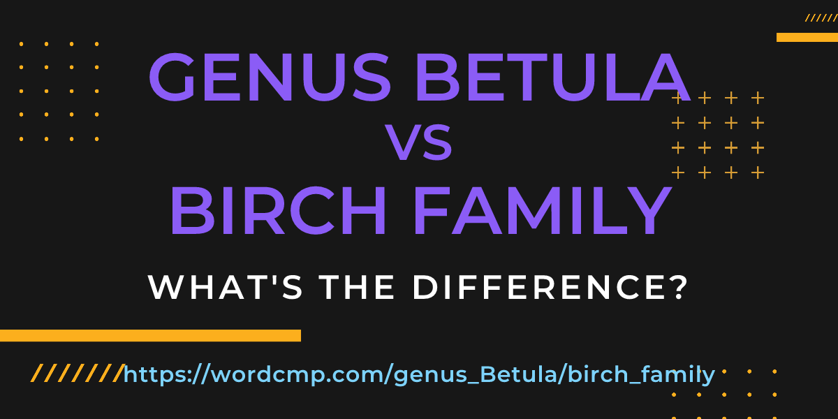 Difference between genus Betula and birch family