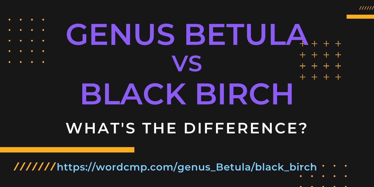 Difference between genus Betula and black birch