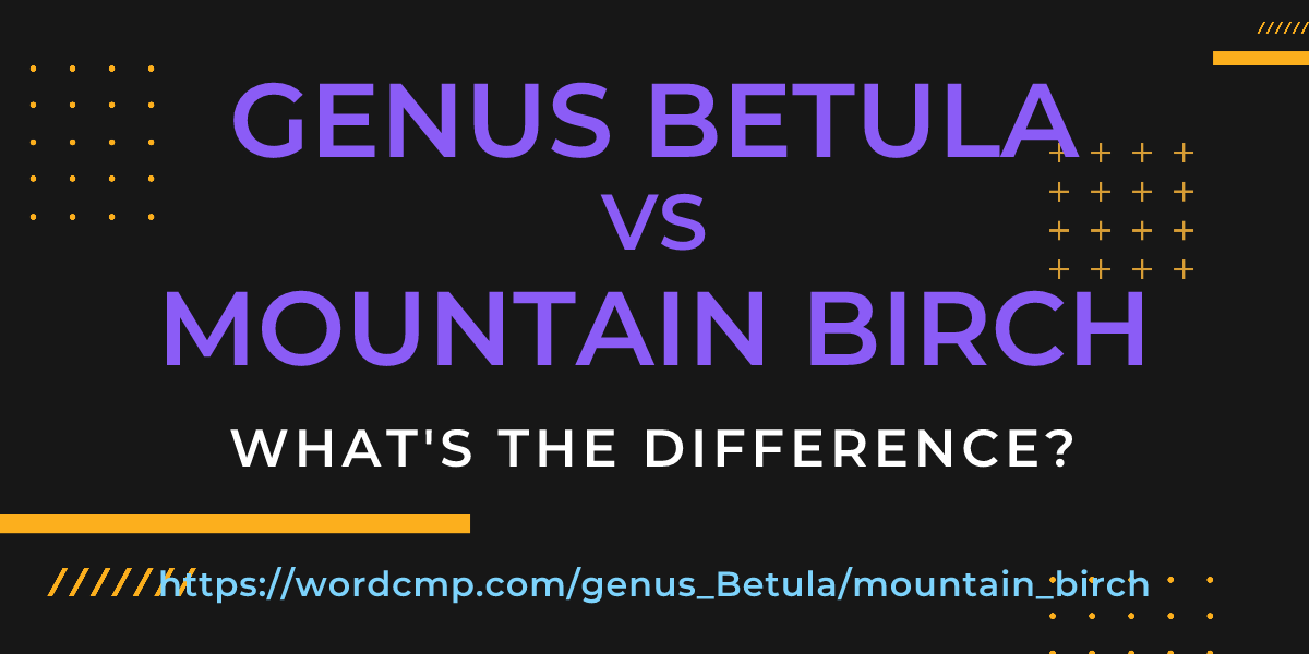Difference between genus Betula and mountain birch