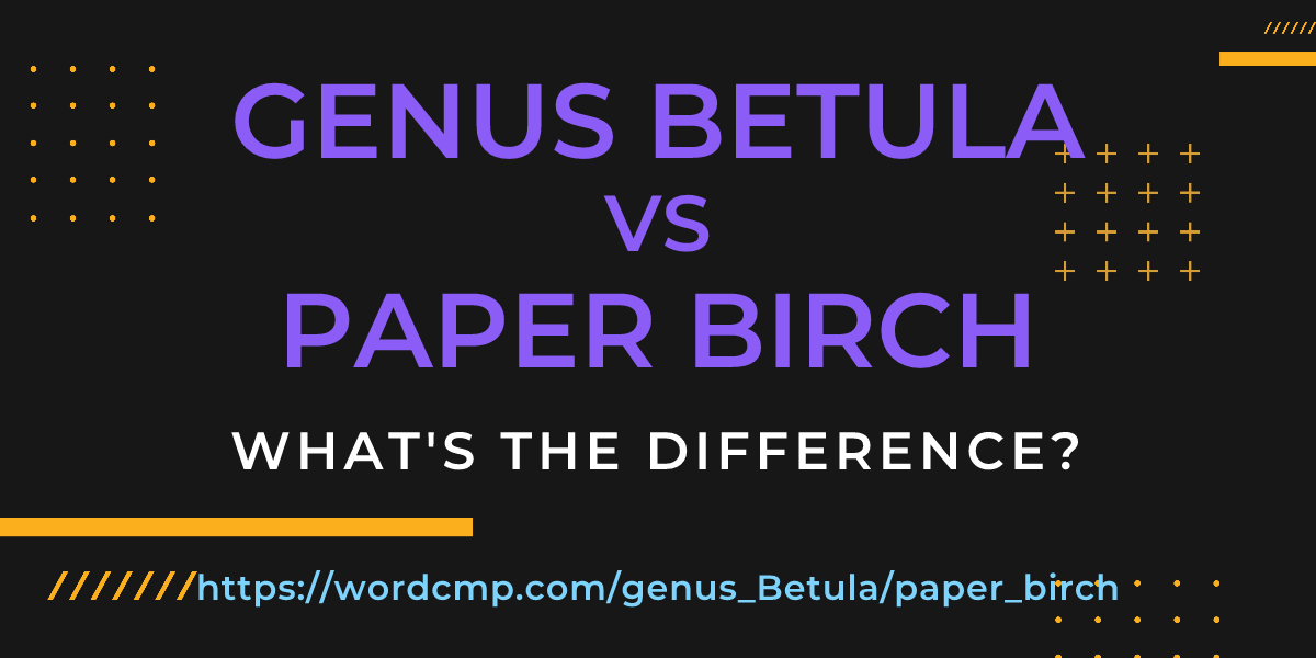Difference between genus Betula and paper birch
