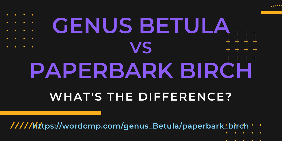 Difference between genus Betula and paperbark birch