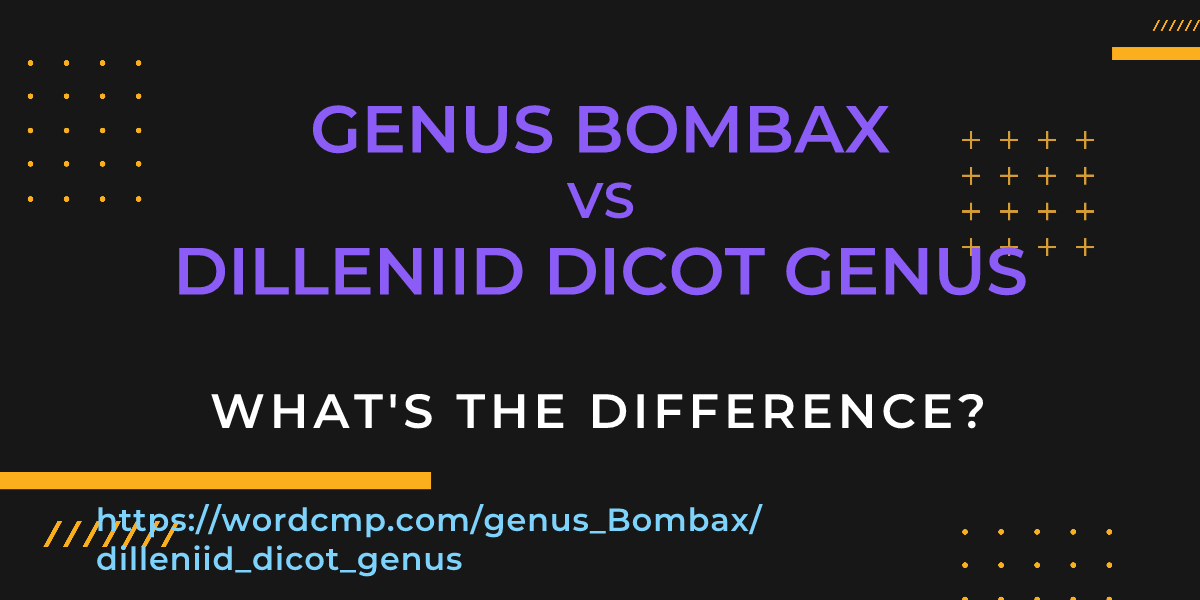 Difference between genus Bombax and dilleniid dicot genus