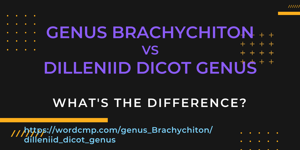 Difference between genus Brachychiton and dilleniid dicot genus