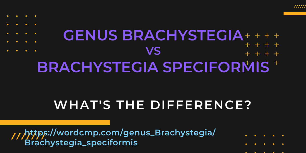 Difference between genus Brachystegia and Brachystegia speciformis
