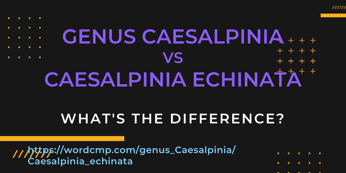 Difference between genus Caesalpinia and Caesalpinia echinata