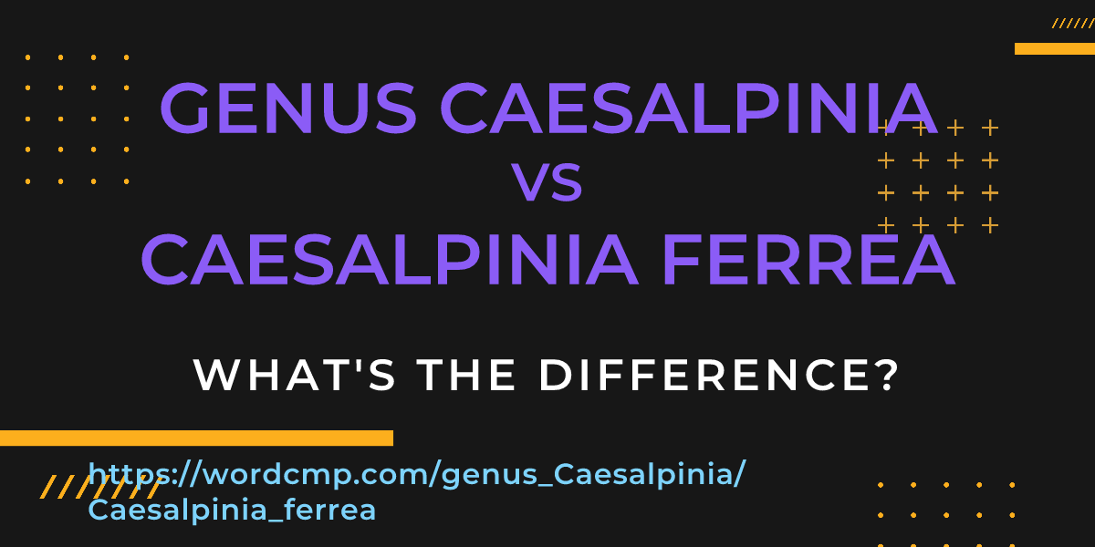 Difference between genus Caesalpinia and Caesalpinia ferrea