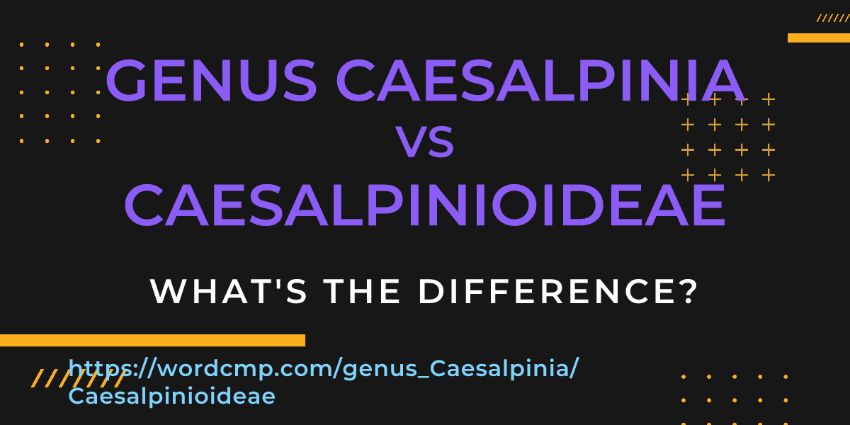 Difference between genus Caesalpinia and Caesalpinioideae