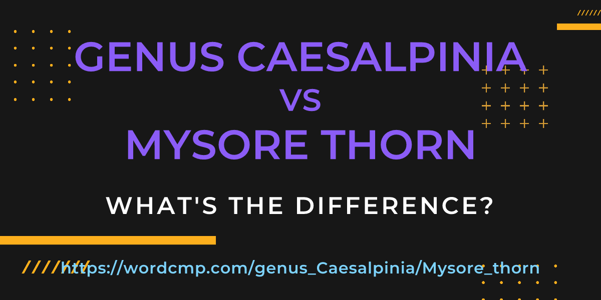 Difference between genus Caesalpinia and Mysore thorn