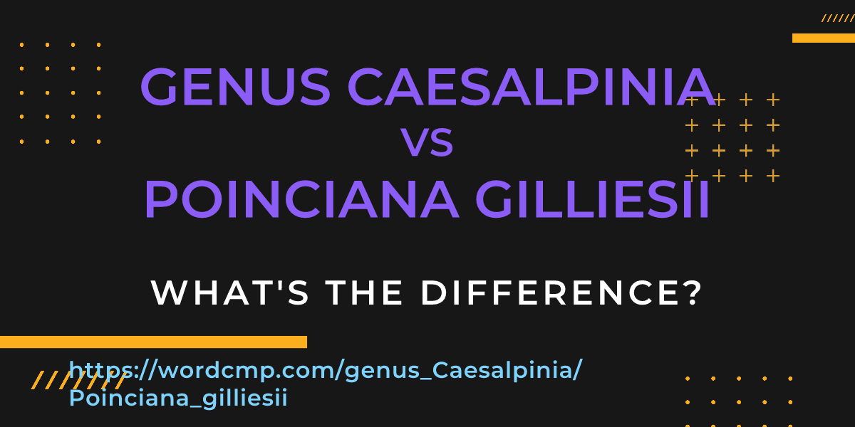 Difference between genus Caesalpinia and Poinciana gilliesii